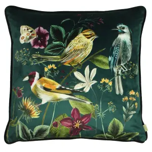 Evans Lichfield Midnight Garden Velvet Piped Feather Filled Cushion