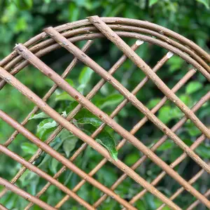 Set of 3 Willow Trellis With Curved Top (120cm x 45cm)