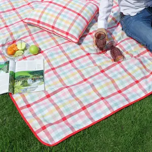 Extra Large Chantilly Pastel Finish Outdoor Picnic Blanket Mat Gift Idea