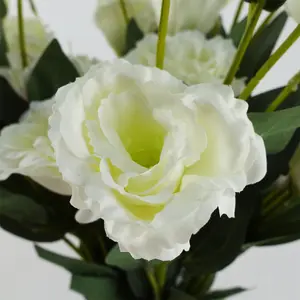 Pack of 6 x 80cm Artificial White Wild Rose Stem - 6 Flowers