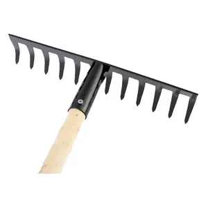 Steel Garden Rake for Hay, Leaves, Lawn, 25 cm / 10 in with 10 Tins, Ideal Gardening Tool (With Handle)