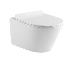 Round Back To Wall BTW Toilet Soft Close Seat Free Pan Fixing Kit