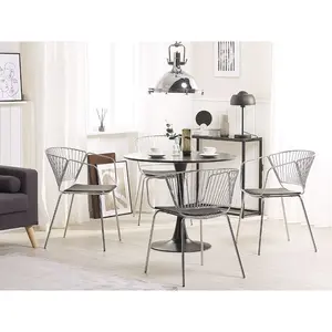 Boghos Dining Chair (Set of 2) Silver