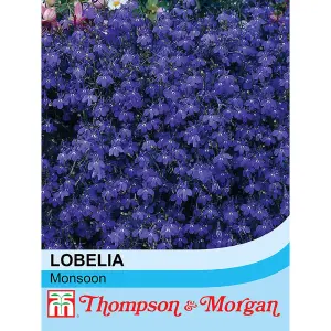 Lobelia Monsoon 1 Seed Packet (650 Seeds)