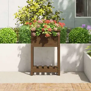 Berkfield Planter with Shelf Honey Brown 54x34.5x81 cm Solid Wood Pine