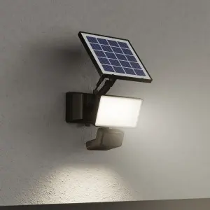 GoodHome Black Solar-powered Cool white Integrated LED Floodlight 800lm