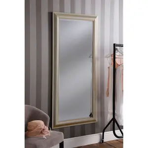 Abbeyville Framed Wall Mounted Accent Mirror Champagne / 168.5cm H x 77cm W