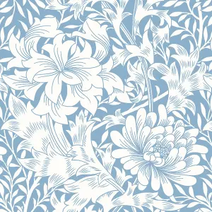 Hoopla Walls Chrysanthemum  Wedgewood Blue Smooth Matt Wallpaper