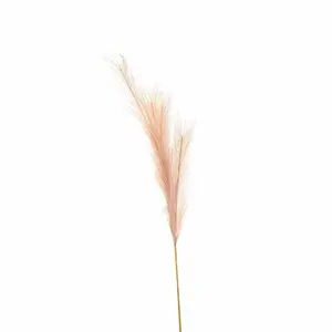 UK Homeliving Faux Pampas Grass Stem