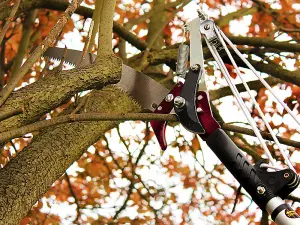 Kent & Stowe 70100496 Telescopic Tree Pruner 3m K/S70100496