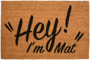 Hey I'm Mat Novelty Doormat Unique Coir Doormats Front Funny