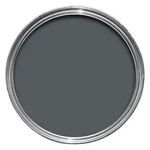 Leyland Trade Dark grey Metal & wood Primer & undercoat, 2.5L