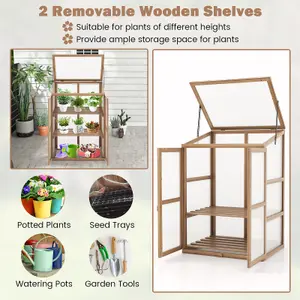 Costway Garden Cold Frame Portable Mini Wooden Greenhouse with 2 Removable Shelves