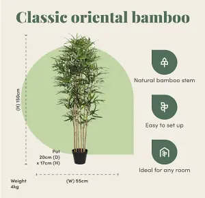 Blooming Artificial - 150cm / 5ft Faux Oriental Bamboo