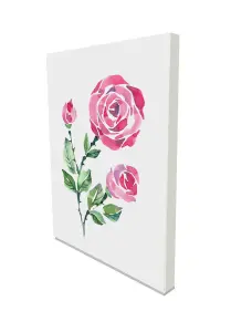 Beautiful pink rose on a white background (Canvas Prints) / 20cm x 15cm