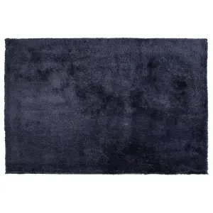 Shaggy Area Rug 200 x 300 cm Blue EVREN