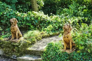 Pair of Life Size Hound Statues