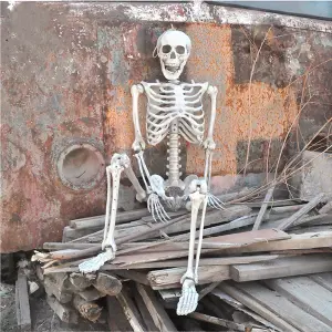 Halloween Realistic Full Body Skeleton Hanging Prop Decoration Posable Joints 170cm