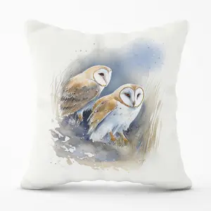 Barn Ano Owls Watercolour Cushions 60cm x 60cm