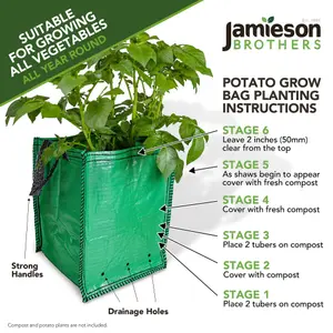 10 Potato Planter Bags suitable for growing all Vegetables all year round 18"x12"x12" - By Jamieson Brothers