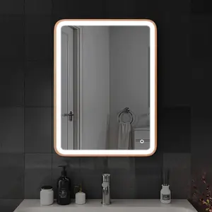 Harper & Harlow 600x800 Vela Brushed Brass LED Illuminated Bathroom Mirror