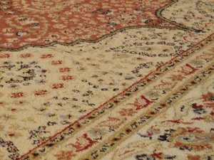 Luxurious Bordered Traditional Persian Floral Beige Wool Rug for Living Room & Bedroom-240cm X 340cm