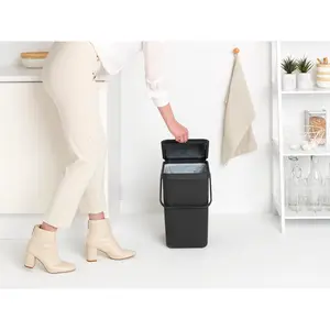 Brabantia Sort and Go 25 Litre Rubbish Bin Grey