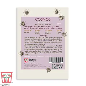 Cosmos Promo New Kew Range 1 Packet (200 Seeds)