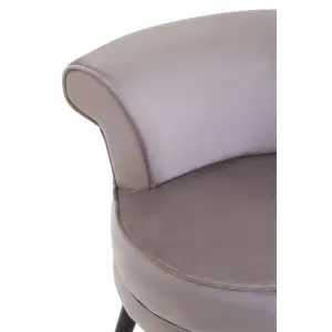 Interiors by Premier Mink Velvet Armchair, Built to Last lounge chair, Easy to Maintain Velvet Chair for Kids, Reliable Armchair