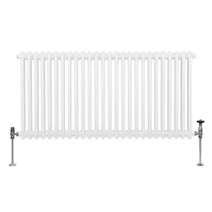 Traditional 2 Column Radiator - 600 x 1192 mm - White