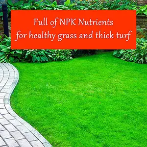 Homefront Grass Greening Granules Lawn Fertiliser - Strengthens, Greens and Creates Healthier Grass 2.5kg