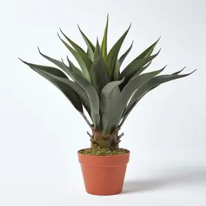 Homescapes Green 'Century Plant' Artificial Agave Americana with Pot, 60 cm