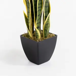 Blooming Artificial - 85cm / 2.75ft Variegated Faux Sansevieria