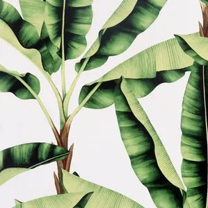 Arthouse Musa Green Tropical Banana Leaf Realistic Feature Wallpaper 909604