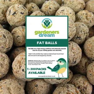 Suet Fat Balls Wild Bird Food (300 Pack)