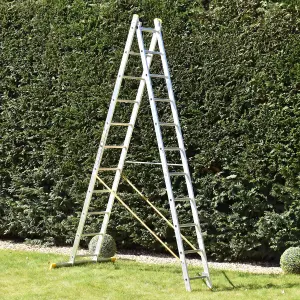 11-Rung Trade Master Pro 2 Section Combination Ladder