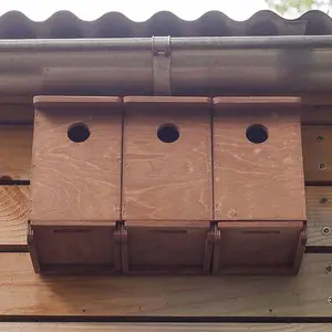 Sparrow Terrace Nest Box - Plywood - L17 x W39 x H24 cm