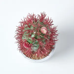 Homescapes Denmoza Artificial Cactus with Flowers in Patterned Pot, 25 cm Tall