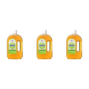 Dettol Antiseptic Disinfectant Liquid 750ml (Pack of 3)