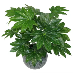 60cm Artificial Japanese Aralia Plant Evergreen