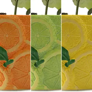 Citrus Trio: Lemon, Lime & Orange in Ceramic Pots, Fresh and Fragrant (20-30cm, 9cm Pots)