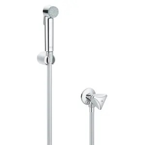 Grohe Tempesta-F Gloss Chrome effect Wall-mounted Single-spray pattern Shower head kit