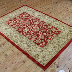 Traditional Floral Graphics Easy to clean Rug for Dining Room -200cm X 300cm