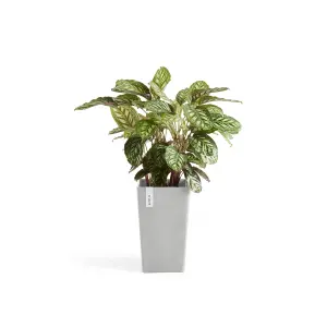 Rotterdam Medium Tall Vase Ecopots