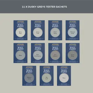 Rust-Oleum Grey Chalky Wall & Ceiling Paint Tester Samples - 10ml