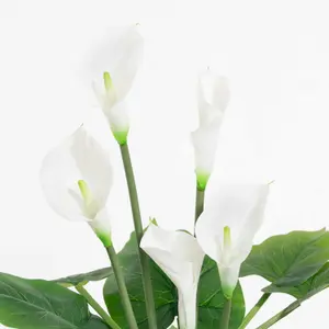 Blooming Artificial - 64cm White Fake Calla Lily - Indoor Faux Flower Plant Gift