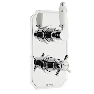 Concealed Thermostatic Shower Mixer Valve (Aqua)