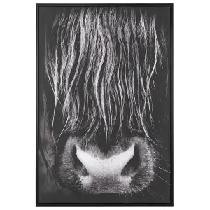 Canvas GALEATA Rectangular 63 x 99 cm Animal Black