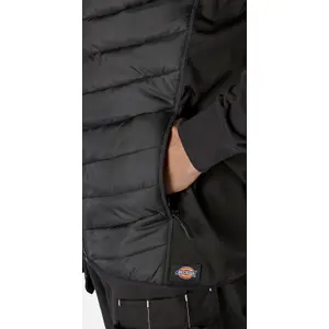 Dickies Generation Hybrid Bodywarmer Work Gilet Black - L