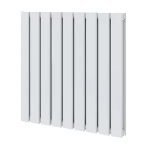 Porter White Double Horizontal Flat Panel Radiator - 600x680mm